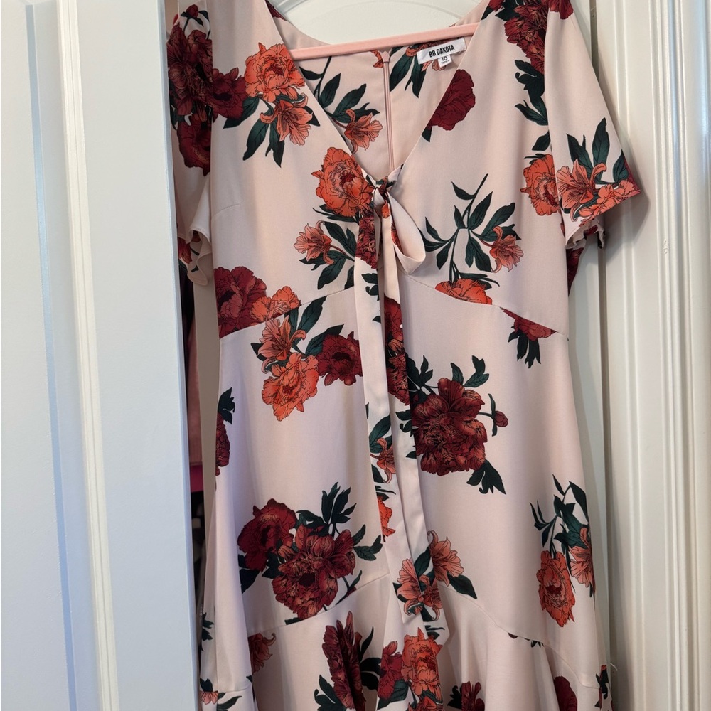 BB Dakota Floral High Low Dress - Red and Pink